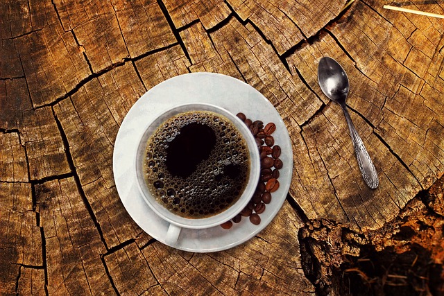 Premium coffee bar with professional baristas